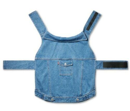 soft coated wheaton puppies for sale