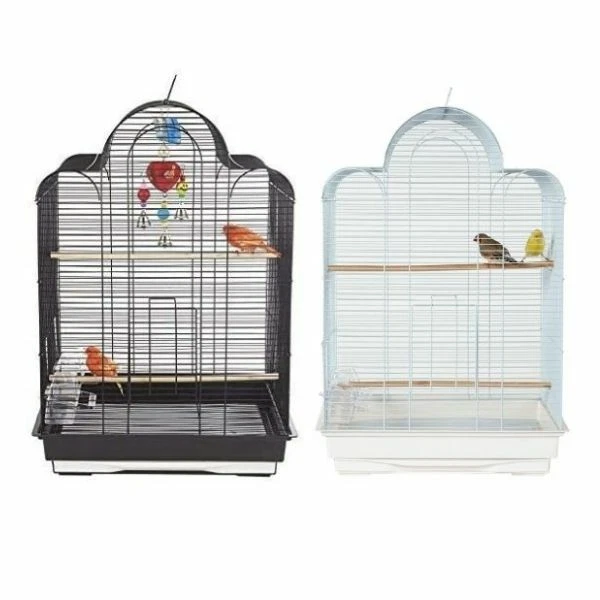 Rainforest Bird Cage San Luis Budgie Canary Finch Lovebirds Cages with Tray
Opens in a new window or