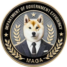 MM-009 President Donald Trump MAGA Elon Musk Challenge Coin for DOGE Department
