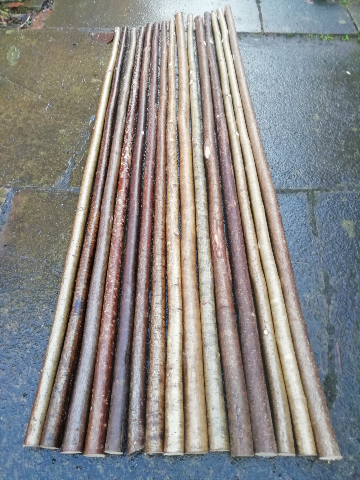 15 X Hazel Walking Stick Shanks eBay