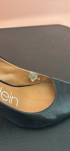 Calvin Klein Women's Gayle Pointed-Toe Pumps