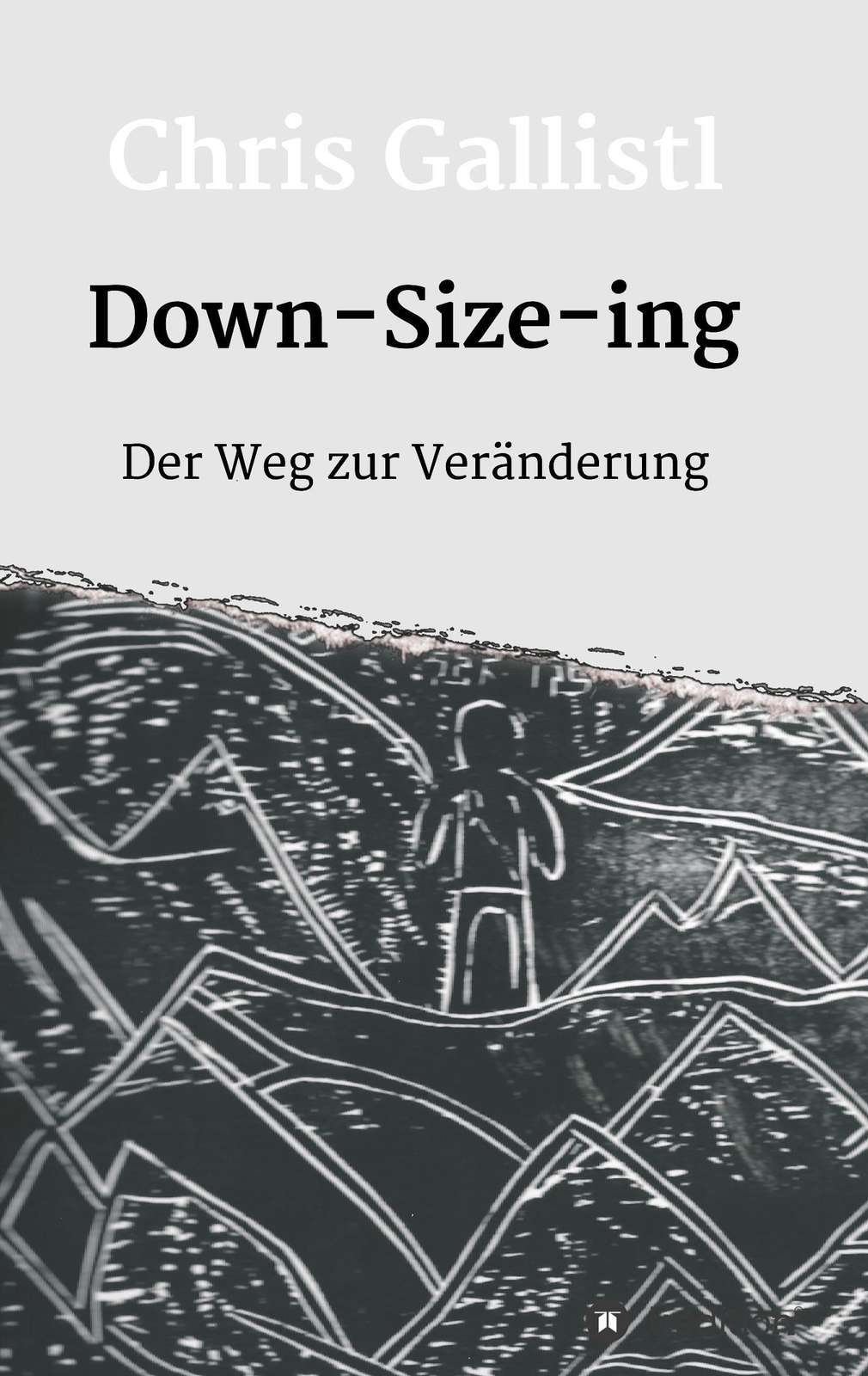 Down-size-ing | Chris Gallistl | Der Weg Zur Veränderung | Taschenbuch