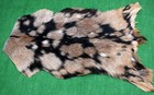 GOAT Western taxidermy Hide Rug Natural Pattern Fur Goat Hide Rode SA-3907 — photo 1