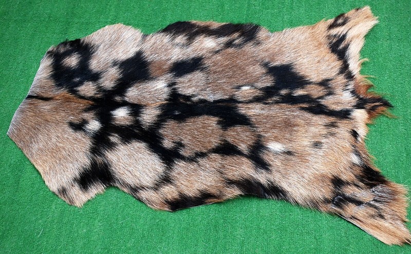 GOAT Western taxidermy Hide Rug Natural Pattern Fur Goat Hide Rode SA-3907