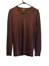 Express Men  s Merino Wool Blend V-neck Sweater Medium Preppy Career