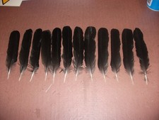12 CARRION CROW TAIL FEATHERS 7" - 8" - arts crafts, fishing, goth, pets