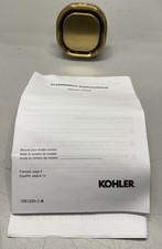 Kohler Invigoration Series Square Steam Head 32310-2MB