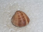 Bild 1 von 2