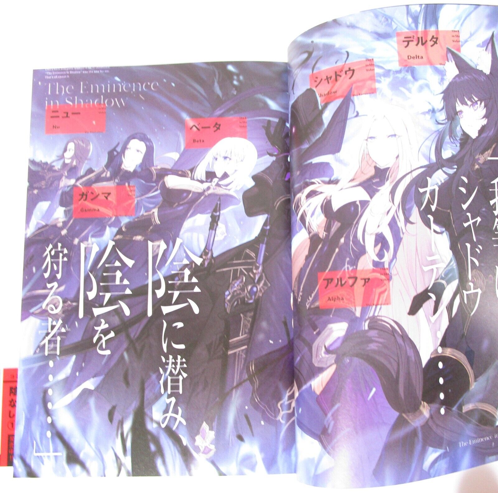 Kage no Jitsuryokusha ni Naritakute! Vol.5 Light Novel Japanese Ver