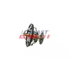 Thermostat Ford TOURNEO