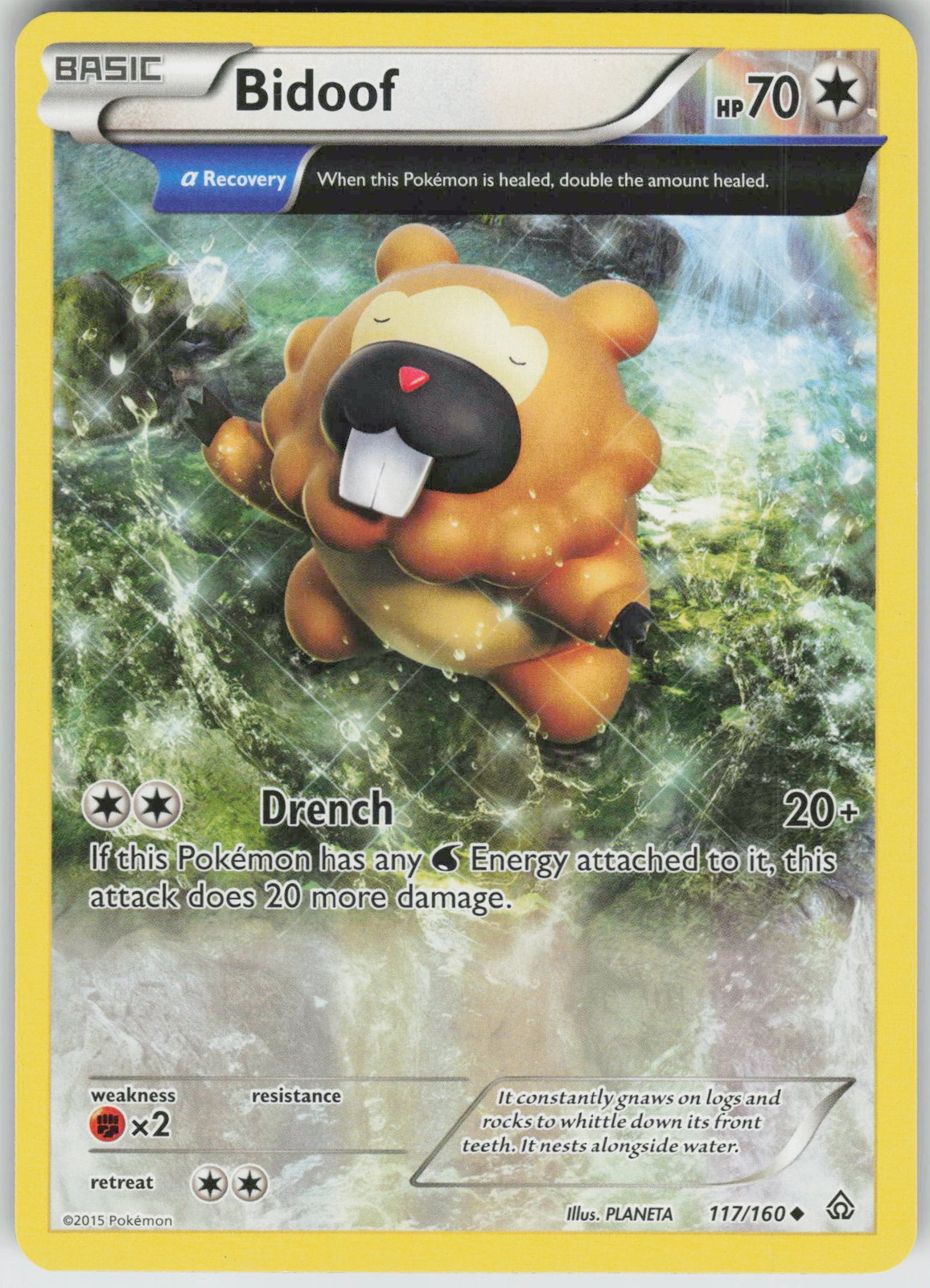 Pokemon Bidoof (Alpha) 117/160 XY - Primal Clash Uncommon NM