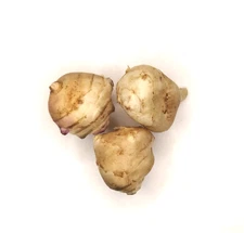 3 seeds of Jerusalem Artichoke Sunchoke Sunroot -NON-GMO Organic Ship Fast!