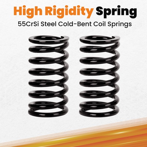 Suspensión roscada para Honda Accord VI 4 puertas sedán CG1 CG5 CG6 1998-2002 Coilover - Imagen 11 de 12