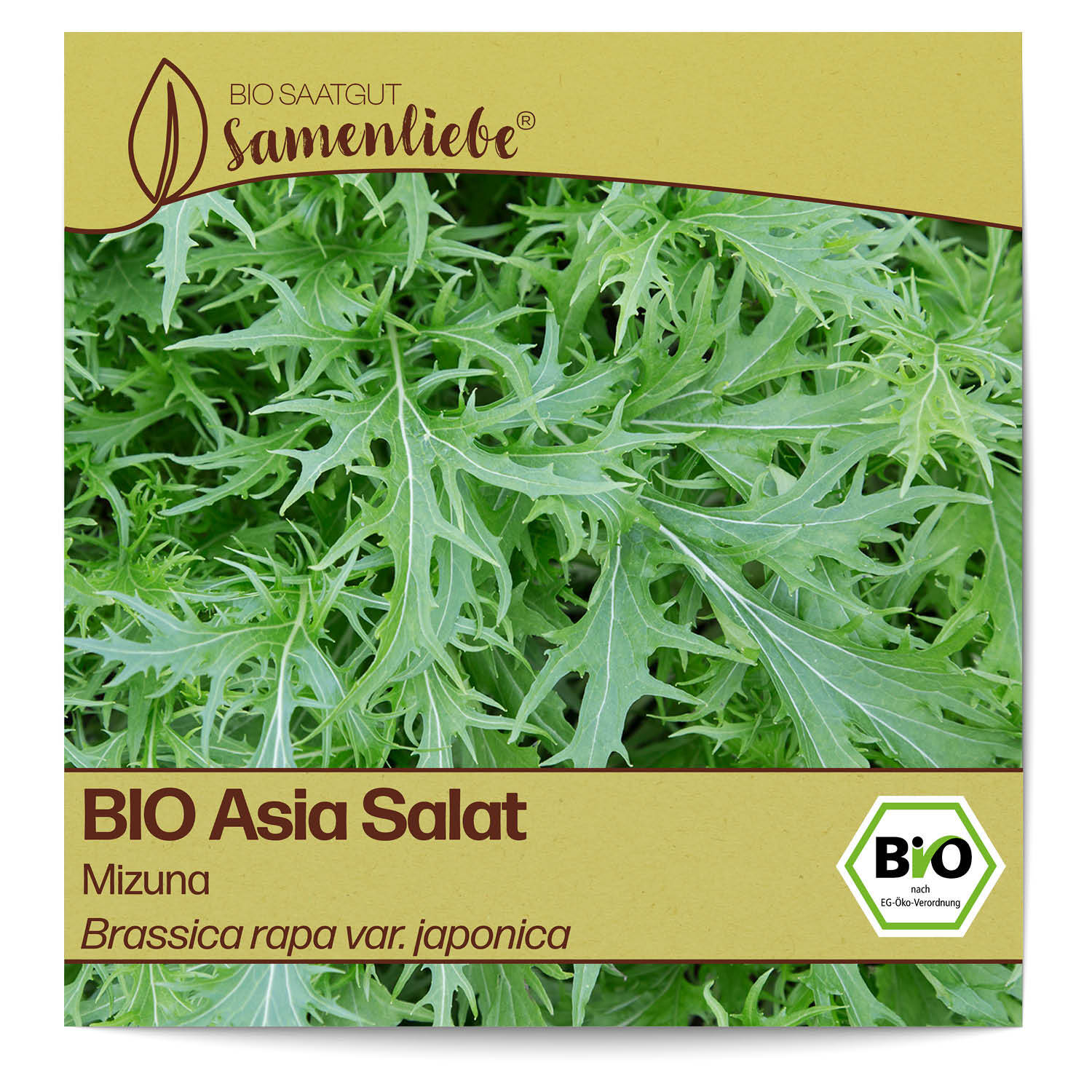 BIO Salat Samen Sorte Mizuna Gemüsesamen BIO Gemüse Saatgut samenfeste Salatsame