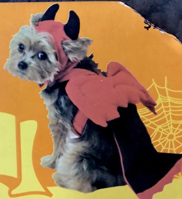 small dog devil costume