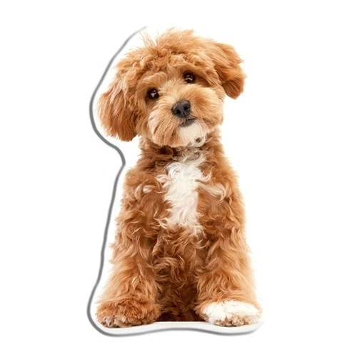 Brauner Hund Maltipoo Plüsch Formkissen Dekokissen 45 x 25 cm - Bild 1 von 1