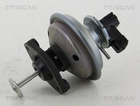 Triscan 8813 11002 Agr-Ventil FüR BMW Mini