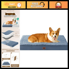 Large Orthopedic Dog Bed 35x23" with Removable Washable Cover - Comfort Suppor