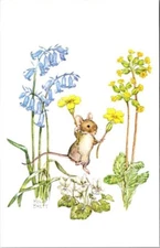 Signed Molly Brett Medici Society - Spring is Here ! Postcard