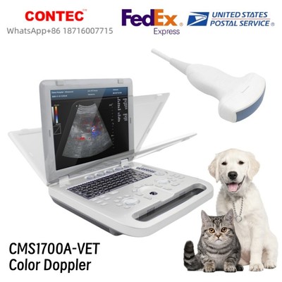 Veterinary Color Doppler Ultrasound Scanner Laptop Color Diagnostic Convex Probe