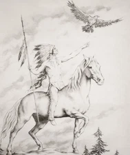 Tri Chem Eagle Warrior (7333) Liquid Embroidery Canvas w/Org. Instruction Sheet