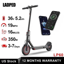 350W Motor Folding Electric Scooter Adult Commute Long Range Kick E-scooter