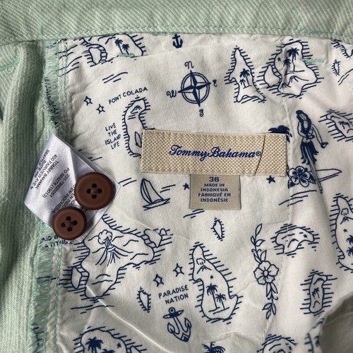 Tommy Bahama Shorts Mens 36 Green Striped Linen Cotton Blend Casual Summer Beach - Picture 2 of 9