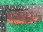 rough slab Petrofied Wood 153g. 6/16- Thick Lapidary Cabbing #FR-1 — photo 6