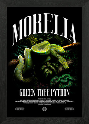 Green Tree Python Poster Framed Wall Art Poster Canvas Print Picture