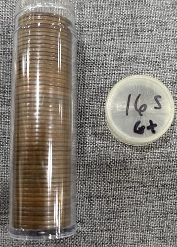 Roll Of (50) 1916 S Lincoln Cents Uncleaned Problem Free Coins Good Or Better