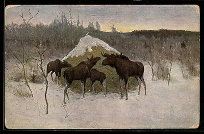 Artist's postcard signed. A. Stepanoff, Elans