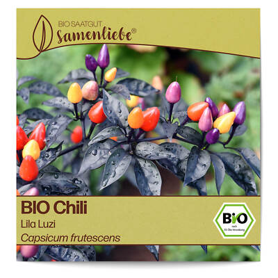 BIO Chili Samen Lila Luzi Capsicum frutescens Chili Saatgut