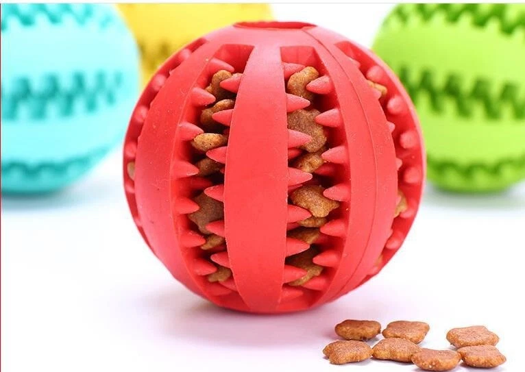 Rubber ball top dog toy