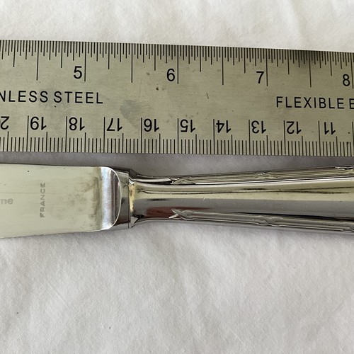 Christofle Pastorale Capricorne France stainless Hollow DINNER KNIFE 9 5/8" Disc - Picture 3 of 11