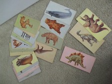 Vintage Lot of 36 1962 McGraw Hill Flash Cards Dinosaurs and a Few Other Animals