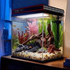5 Gallon Glass Fish Tank, Aquarium Starter Kit, Aquarium Kit with Quiet Filter P