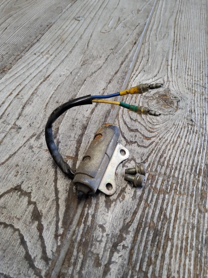 Arnés eléctrico relé resistencia limitada Honda Goldwing GL1000 1977 77 74-79  Foto 2 de 4