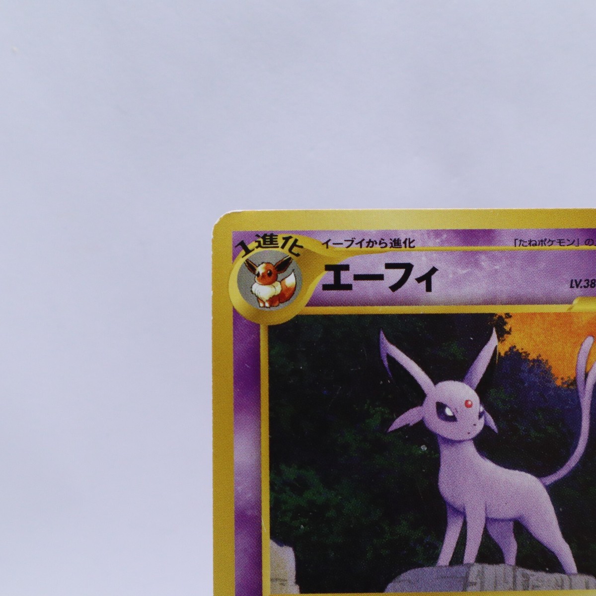 ★PSA10★【エーフィ/プレミアムファイル/プロモ】ESPEON No.196 Espeon #196 Neo 2 Premium File Promo 2000 Japanese Pokemon