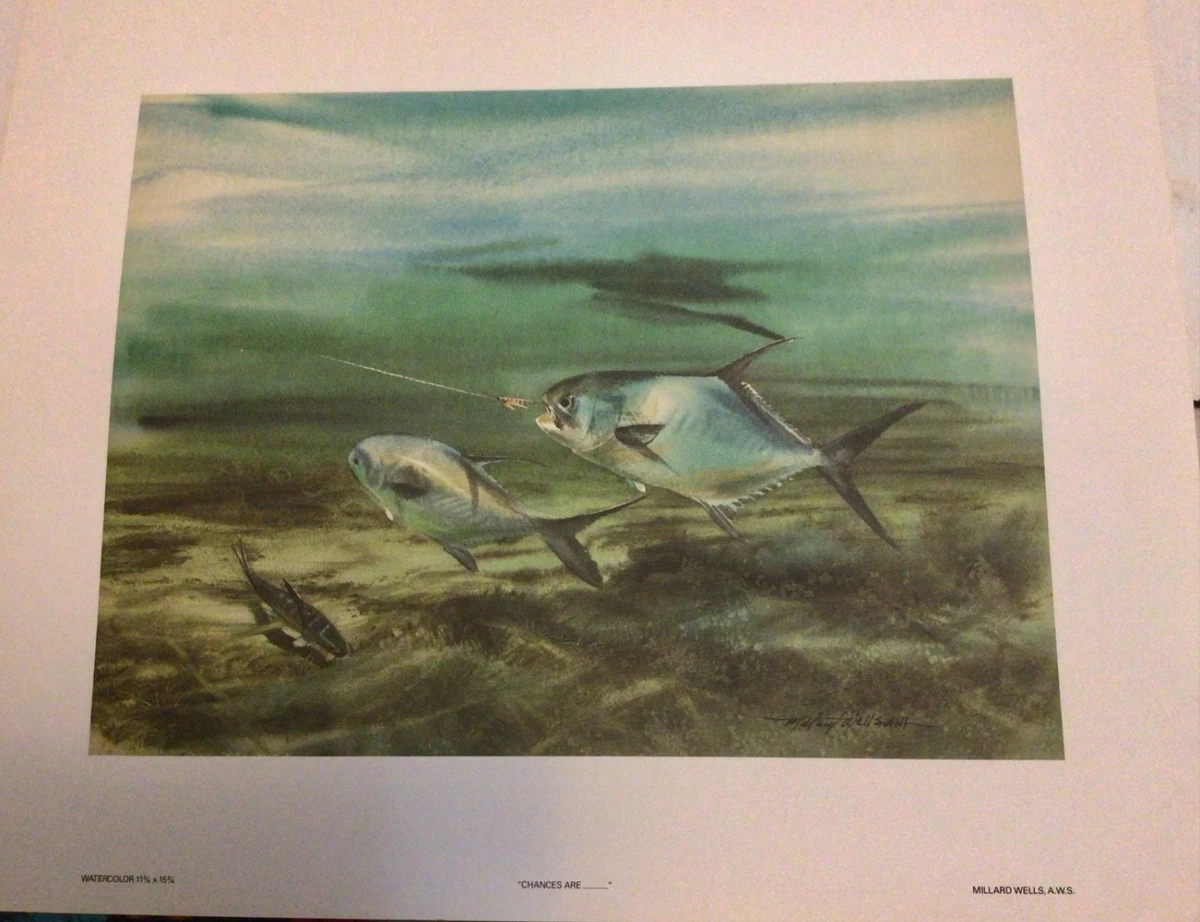 ANGLING 原画　オリジナル　一点もの ANGLING 原画 オリジナル 一点もの Fishing Signed Art Prints for