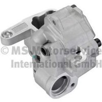 Pierburg ÖLpumpe 7.07919.19.0 FüR Audi Chrysler Dodge Jeep Seat Skoda VW
