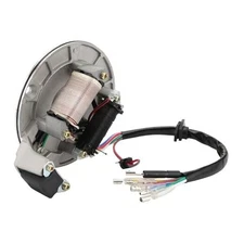 Magneto Stator 2 Coil Corrosion Resistance Electric Motor Stator Replacement 