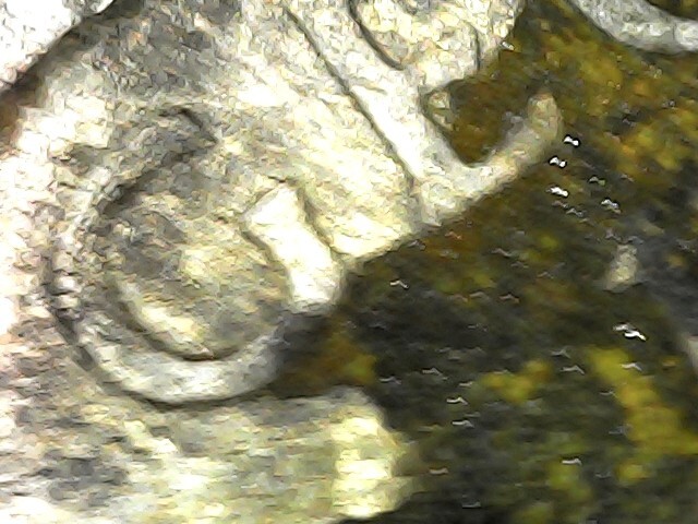 Picture 11 of 24