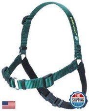 Sense-ation No-Pull Dog Harness Green, Small 