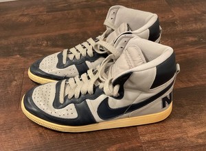 Nike Terminator Georgetown | eBay