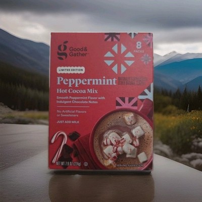 Hot Cocoa Chocolate Mix Pumpkin Spice Cinnamon Nutmeg Good & Gather 8 Packs