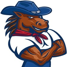 30 Custom Vintage Cowboy Horse Personalized Address Labels