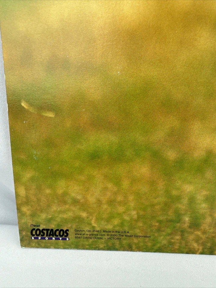 Golfista DAVID DUVAL - Póster 16x20 - Costacos Sports Foto 3 de 4