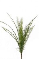 Artplants Kunstpflanze Schwertfarn Garibaldi Auf Steckstab, GrüN, 60Cm