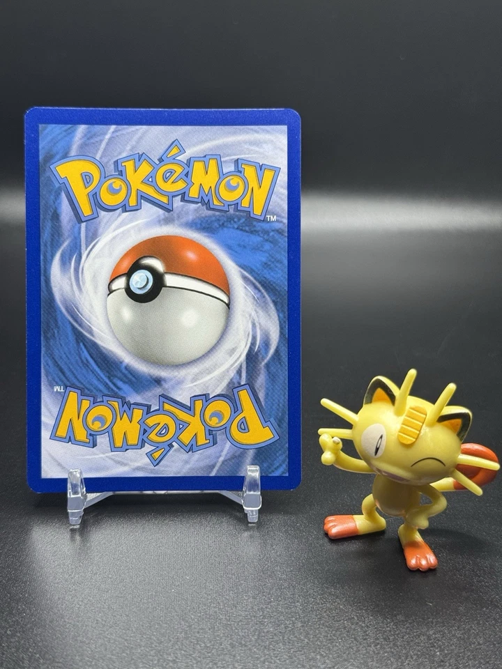 Garbodor - (Prerelease) SWSH025 SWSH: Sword & Shield Promo Cards Holo - Image 2 of 2