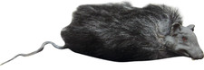 Ghoulish Productions Rats Halloween Decor Spooky Haunted House